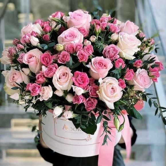 alenad55